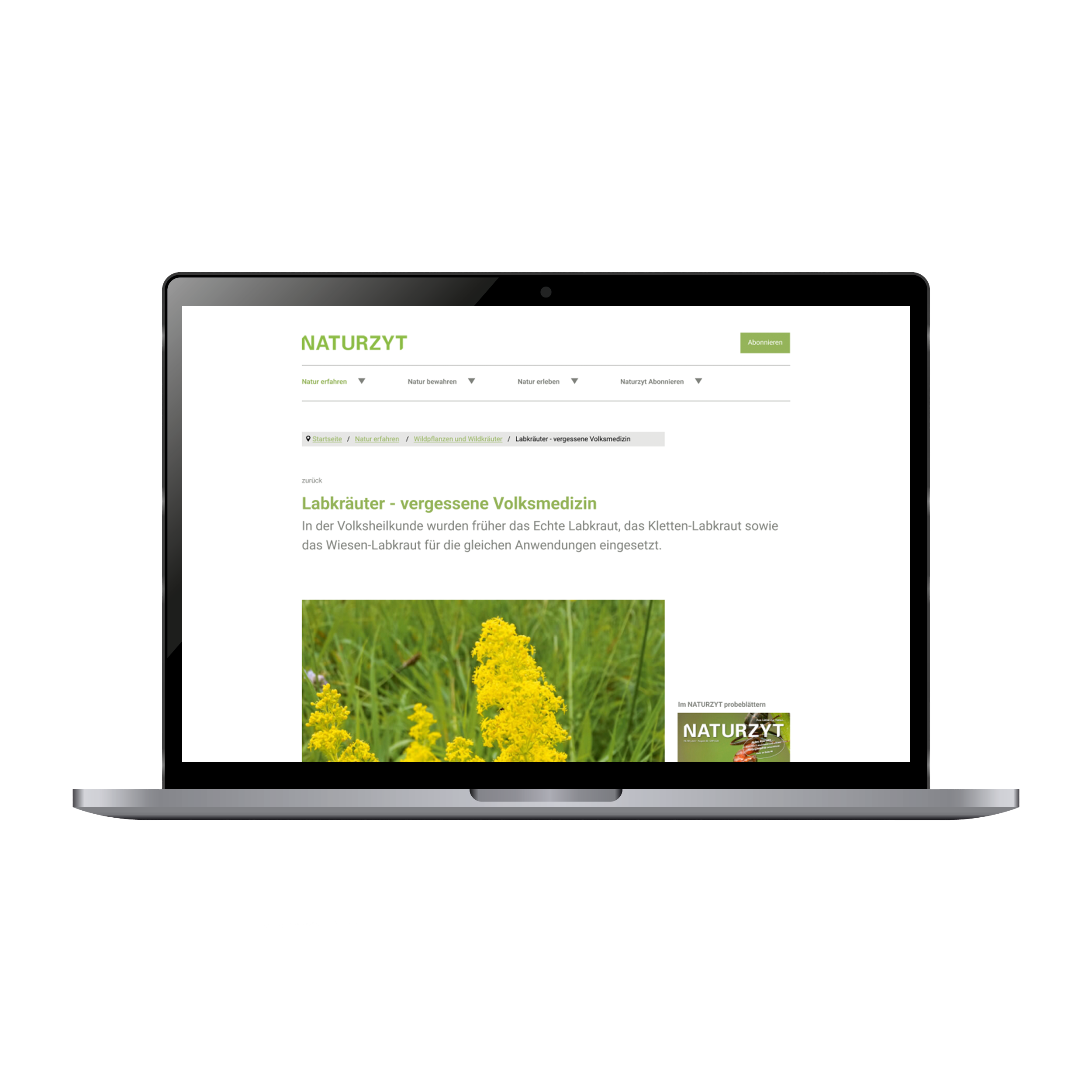 High Fidelity Mockup