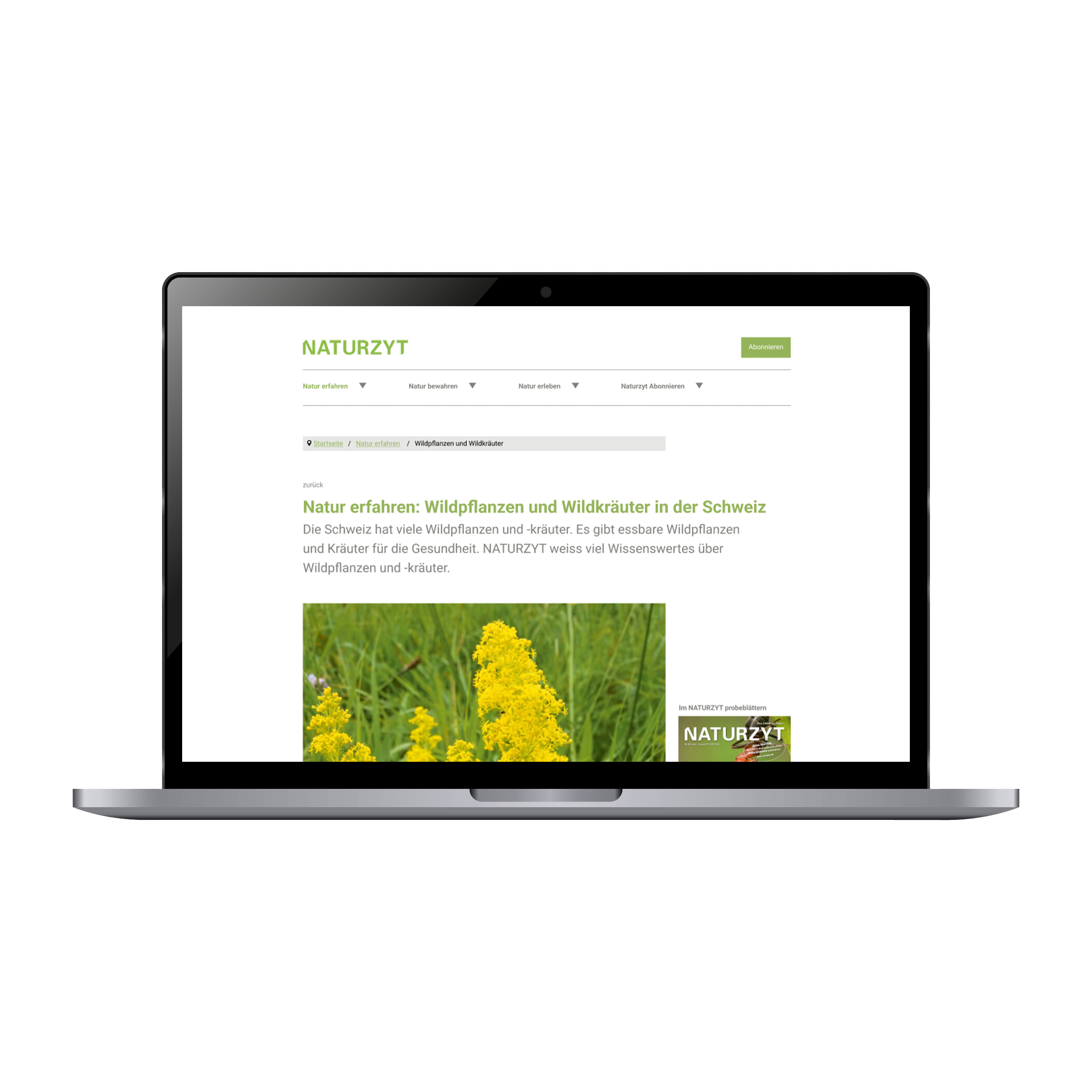 High Fidelity Mockup